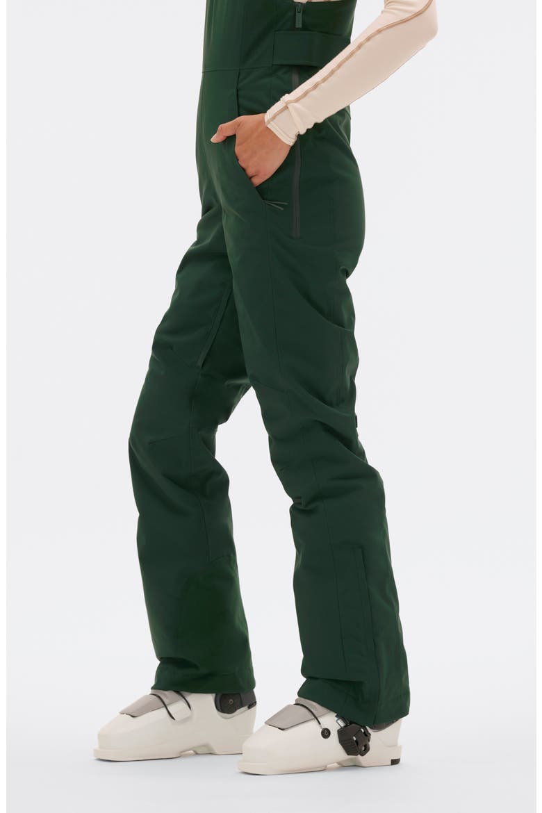 Carson Waterproof Snow Bib Overalls, Alternate, color, ALPINE GREEN