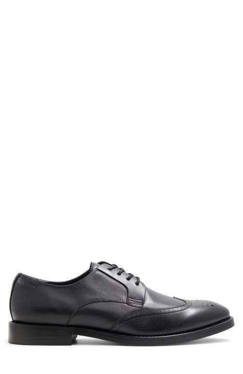 Ted Baker Regent Derby