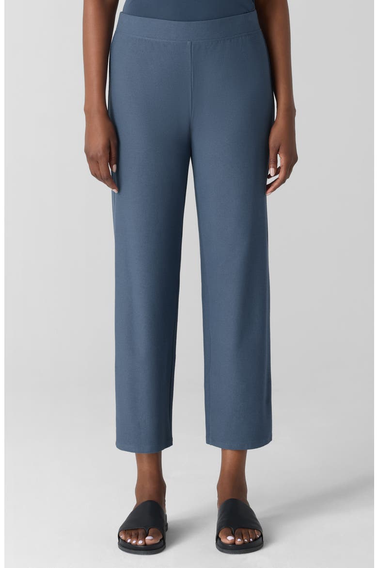 Straight Leg Ankle Pants, Main, color, ECLPS