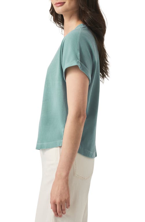 Splendid Skye T-shirt In Mineral