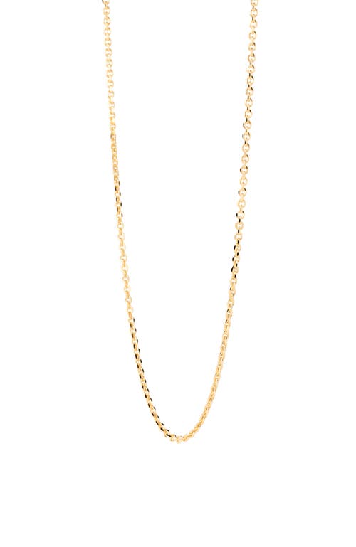 Pdpaola Essential Chain Necklace In Gold