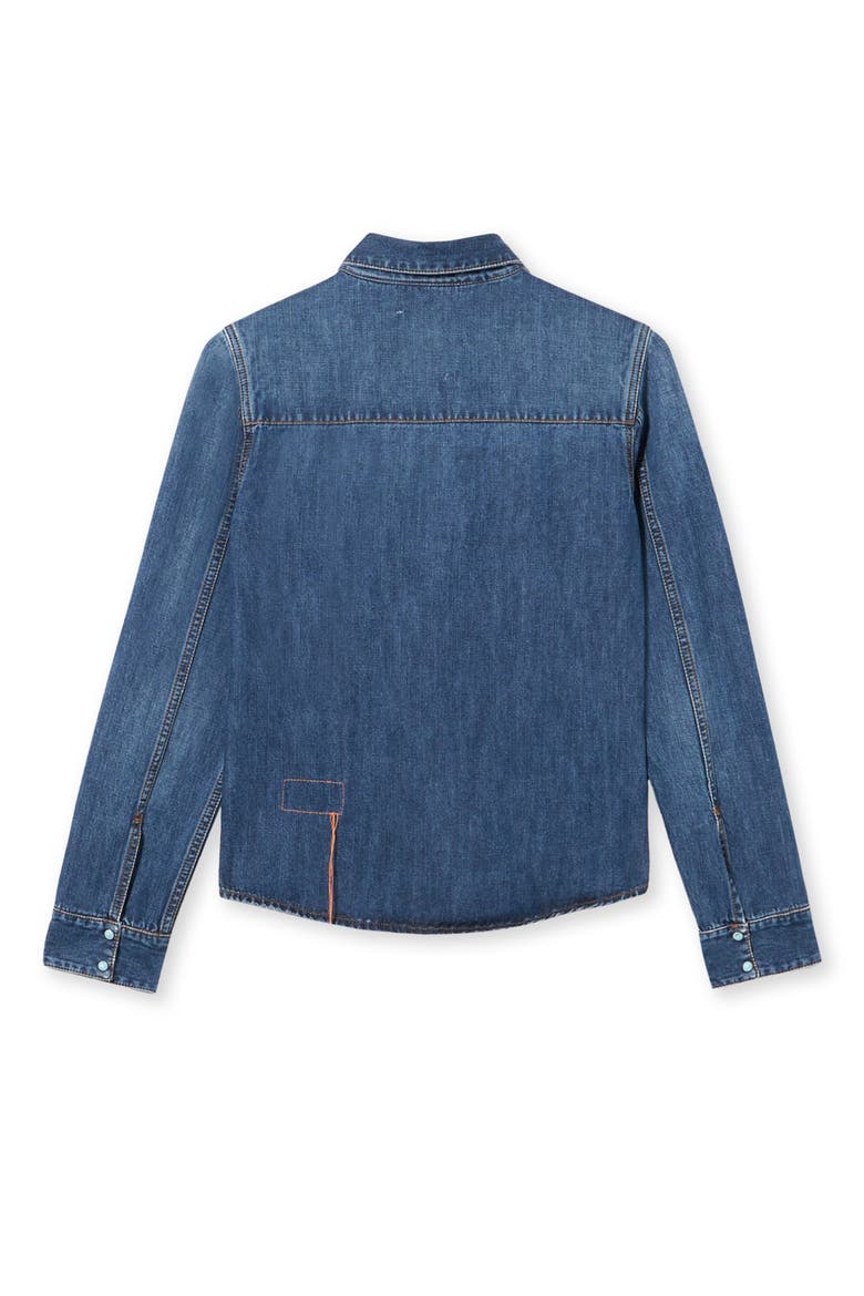 Brigitter Embroidered Denim Shirt, Alternate, color, MULTICOLOR