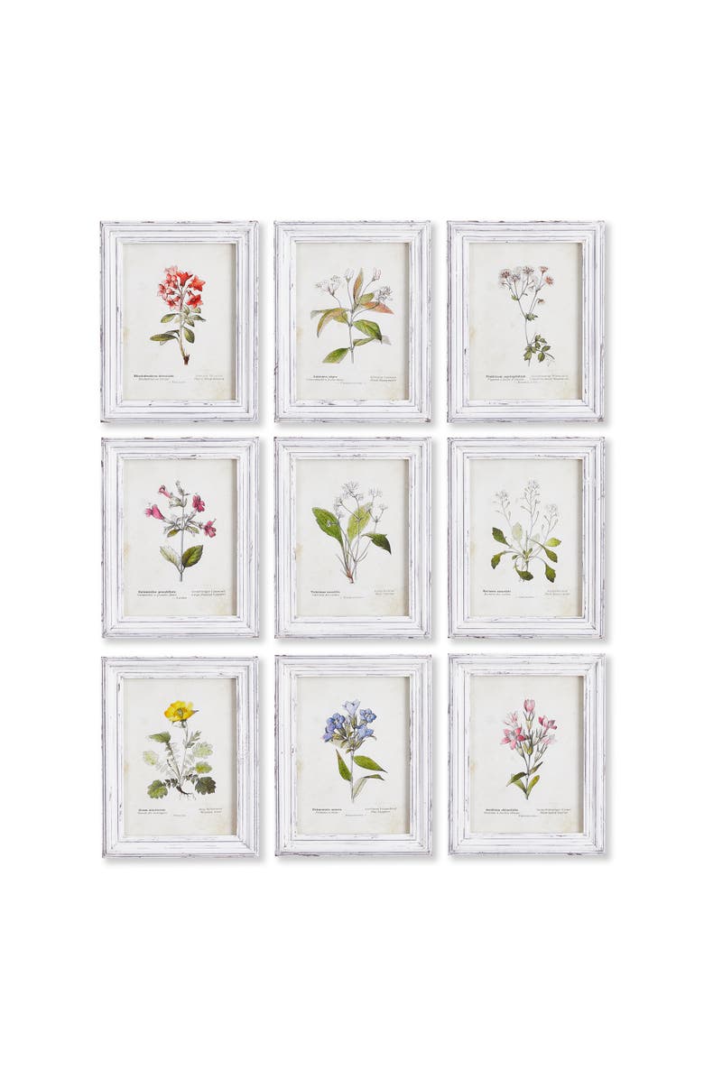 Napa Home & Garden Garden Meadow Study Set of 9, Main, color, 