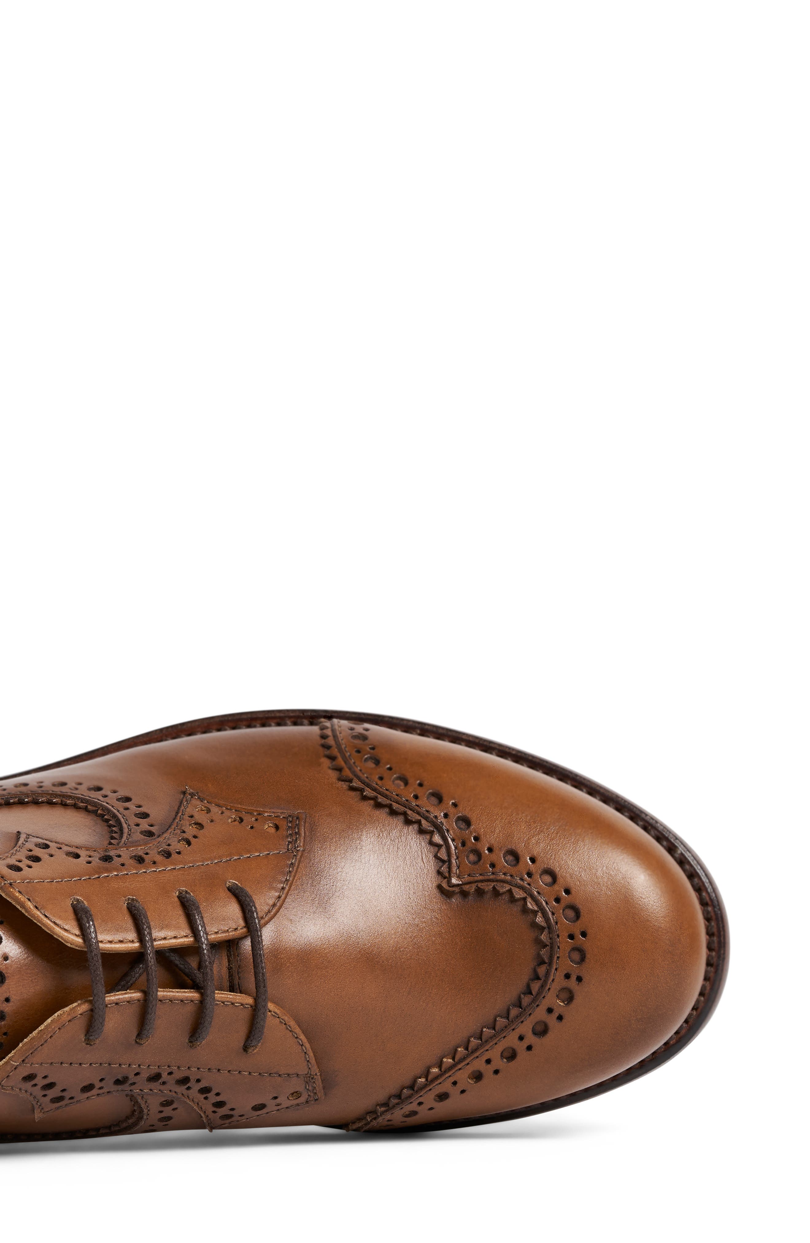 THE OFFICE OF US Ms. Eugenie Brogue Derby, Alternate, color, Saddle