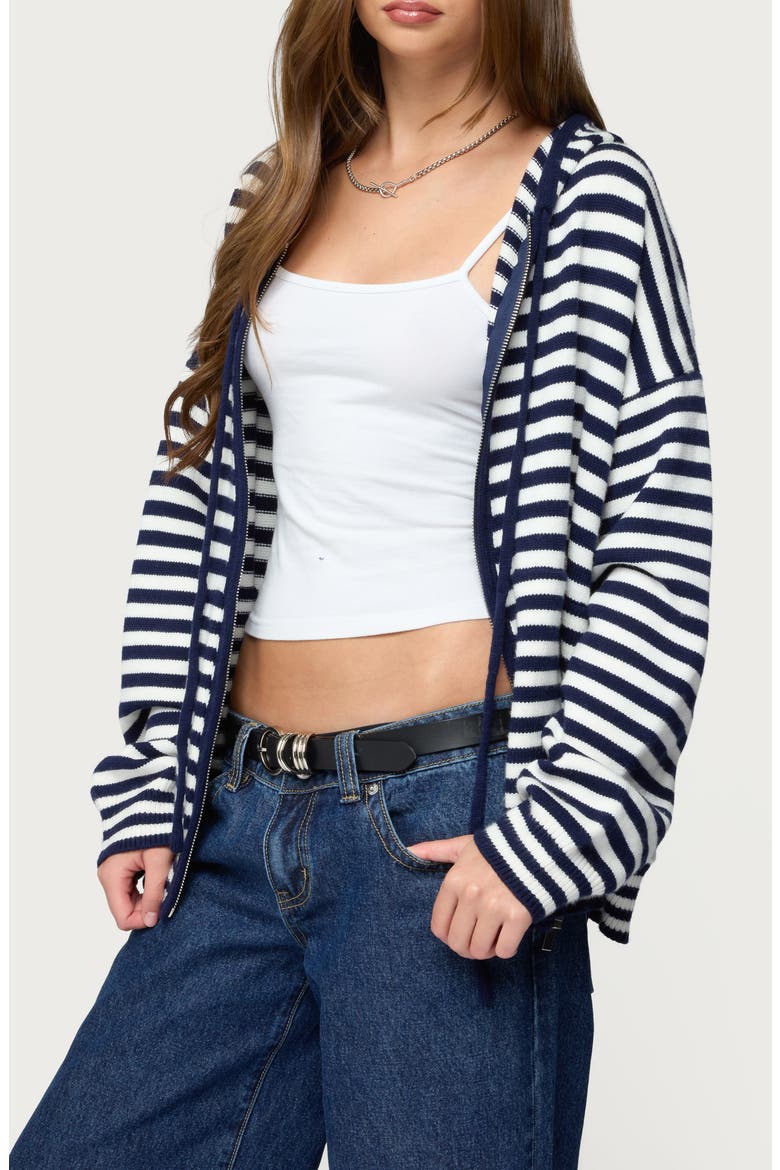 Safari Stripe Knit Zip Front Hoodie, Alternate, color, NAVY-AND-WHITE