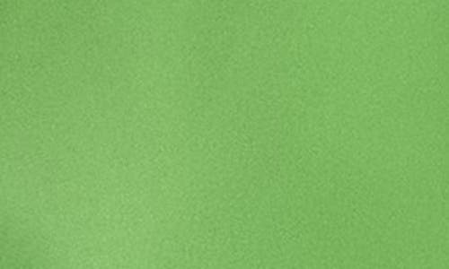 Sachin & Babi Hug Satin Shawl In Green