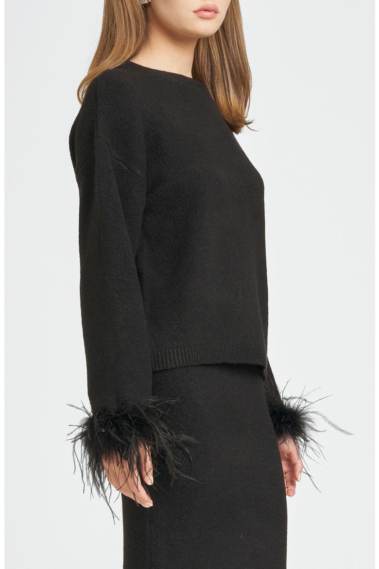 Sadie Feather Trim Sweater, Alternate, color, BLACK