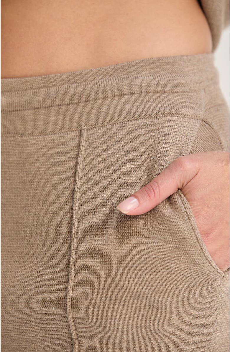CRESCENT Lounge Sweater Knit Pants, Alternate, color, Taupe