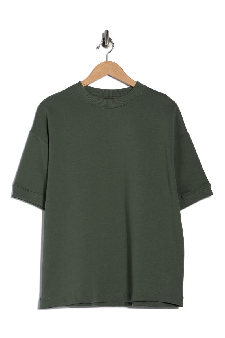 Heavyweight Cotton Blend T-Shirt, Alternate, color, GREEN