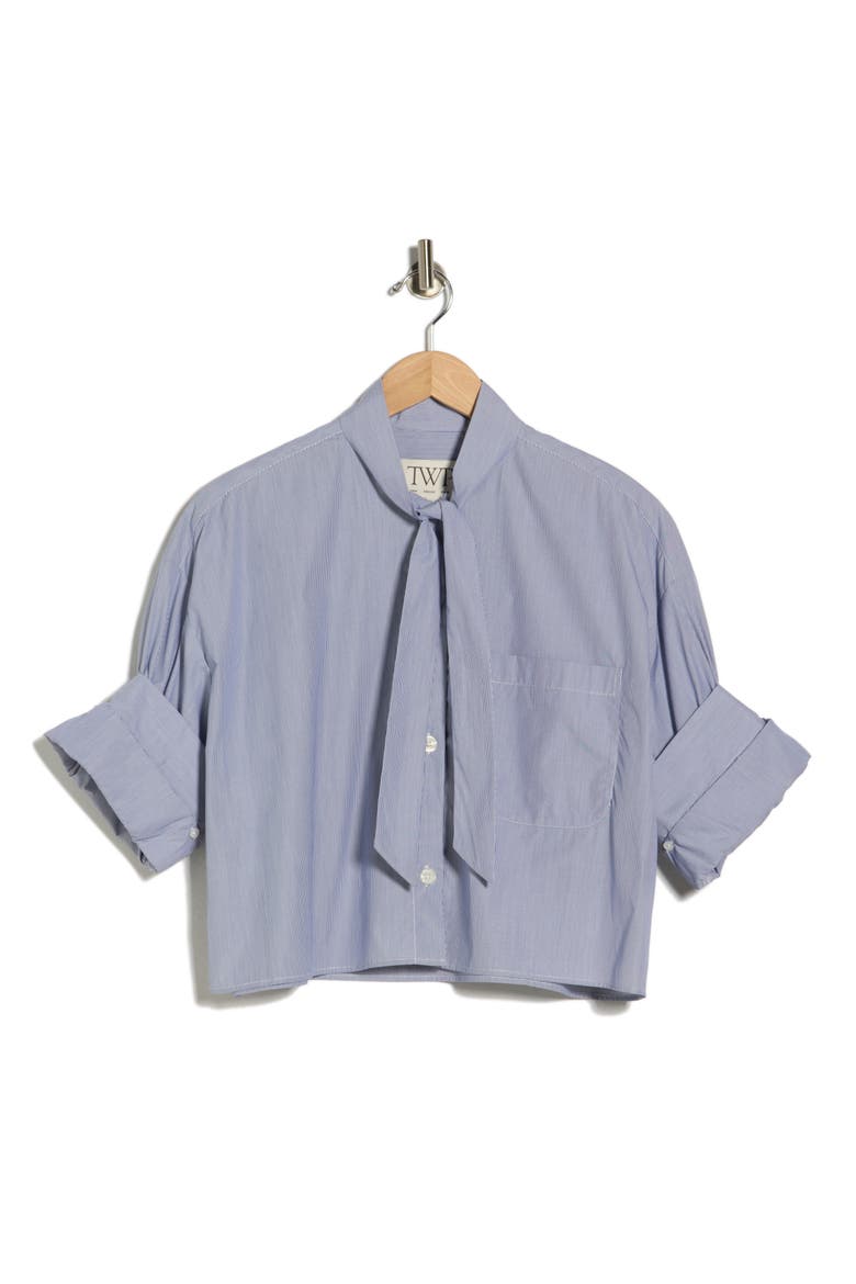 Next Ex Striped Tie Neck Cotton Shirt, Alternate, color, INDIGO / WHITE