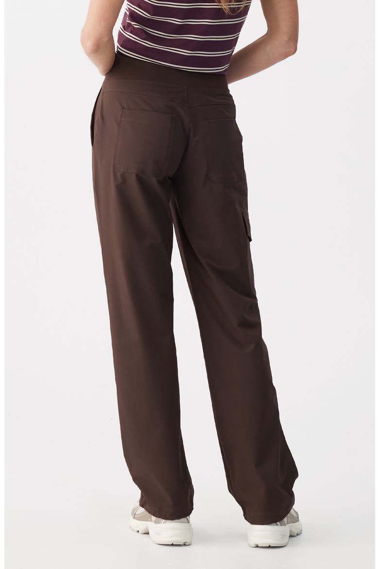 Momentum Water Repellent Tech Trousers, Alternate, color, ESPRESSO