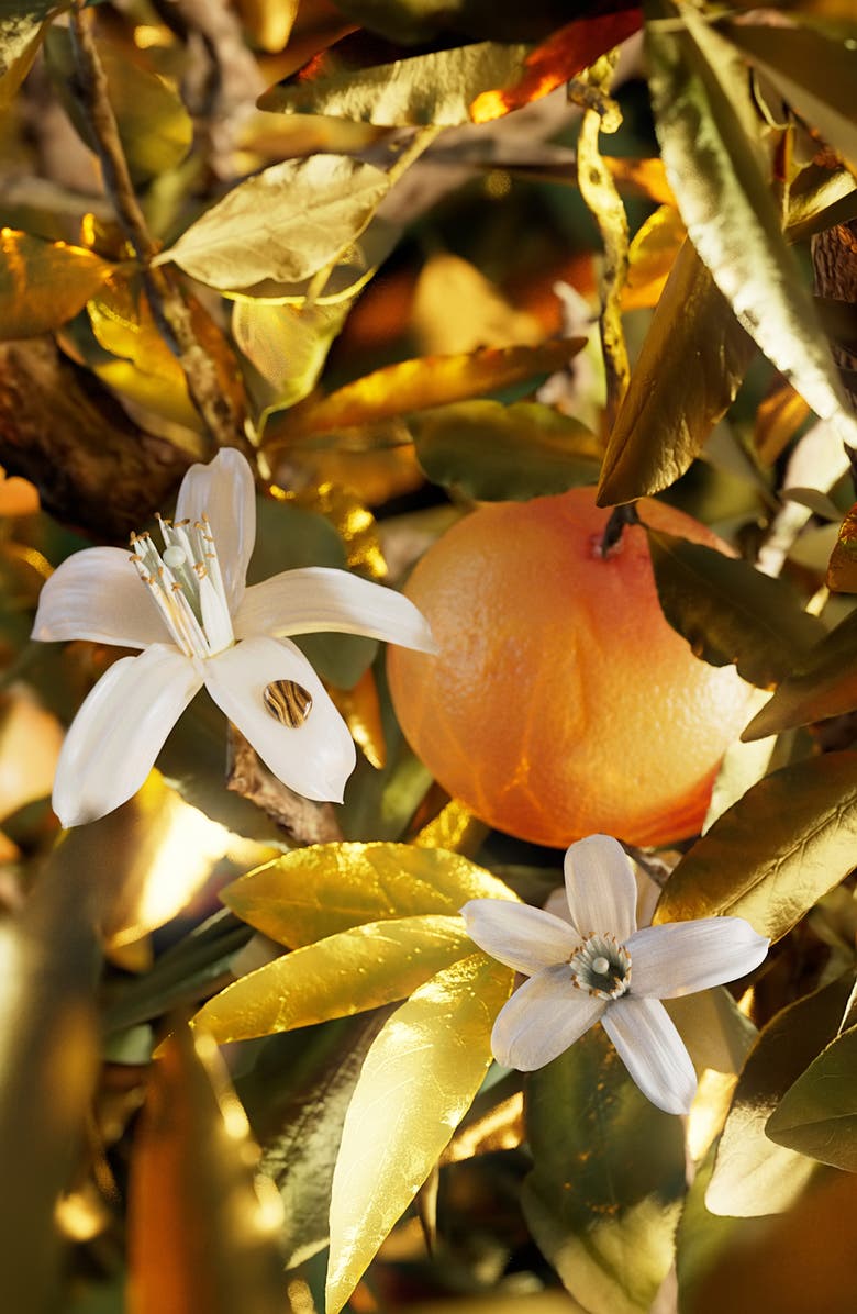 BVLGARI Le Gemme Tygar Eau de Parfum, Alternate, color,