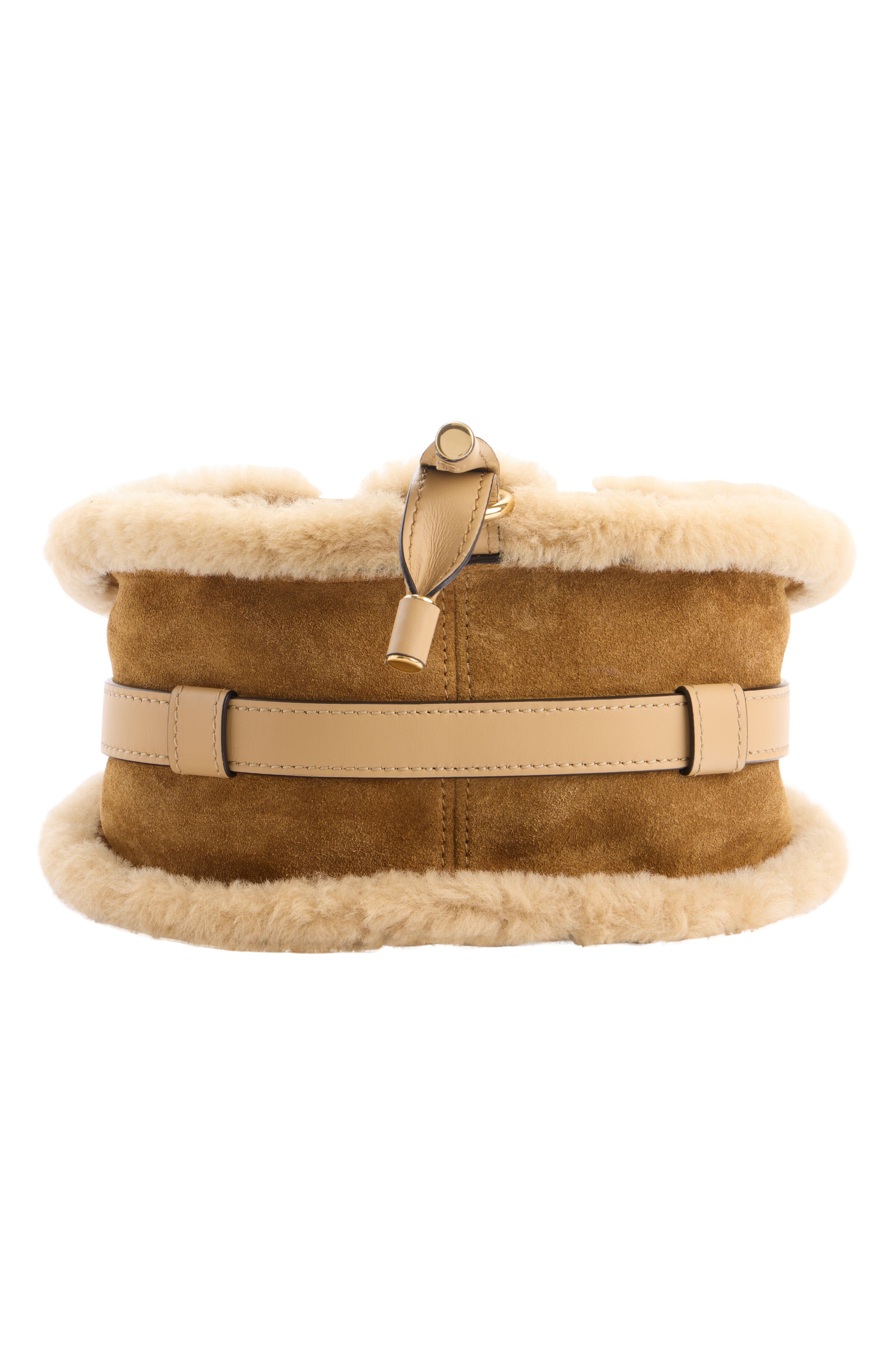 Chloé Medium Marcie Suede & Genuine Shearling Crossbody Bag, Alternate, color, Summery Beige