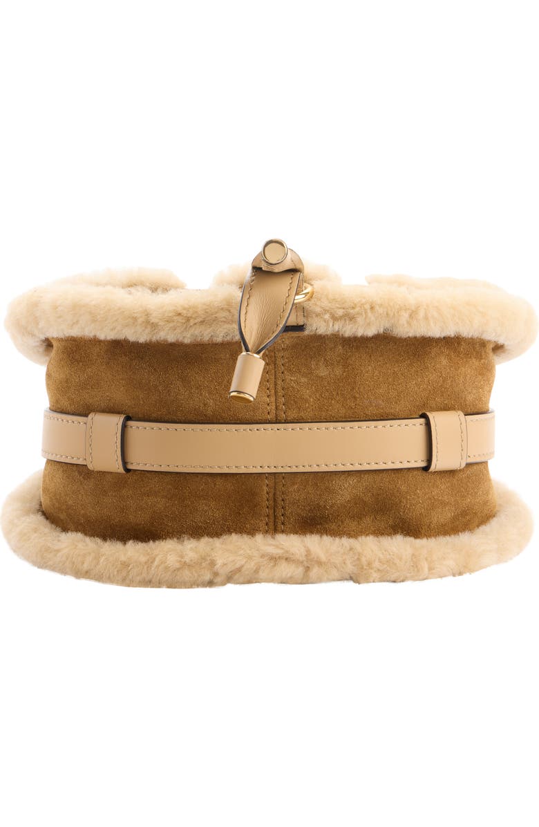 Chloé Medium Marcie Suede & Genuine Shearling Crossbody Bag, Alternate, color, Summery Beige