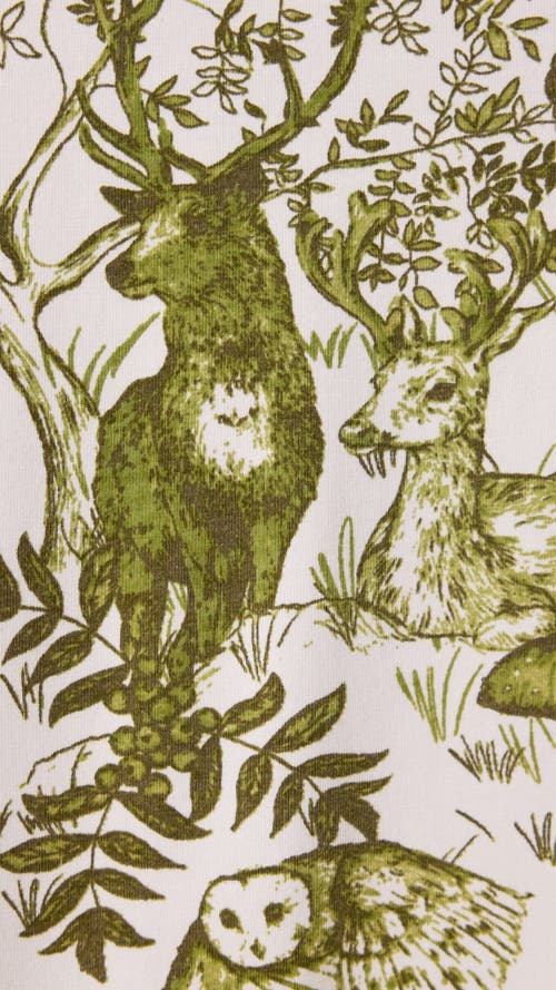 The Cat's Pajamas Pima Knit Night Shirt Conversational In Green