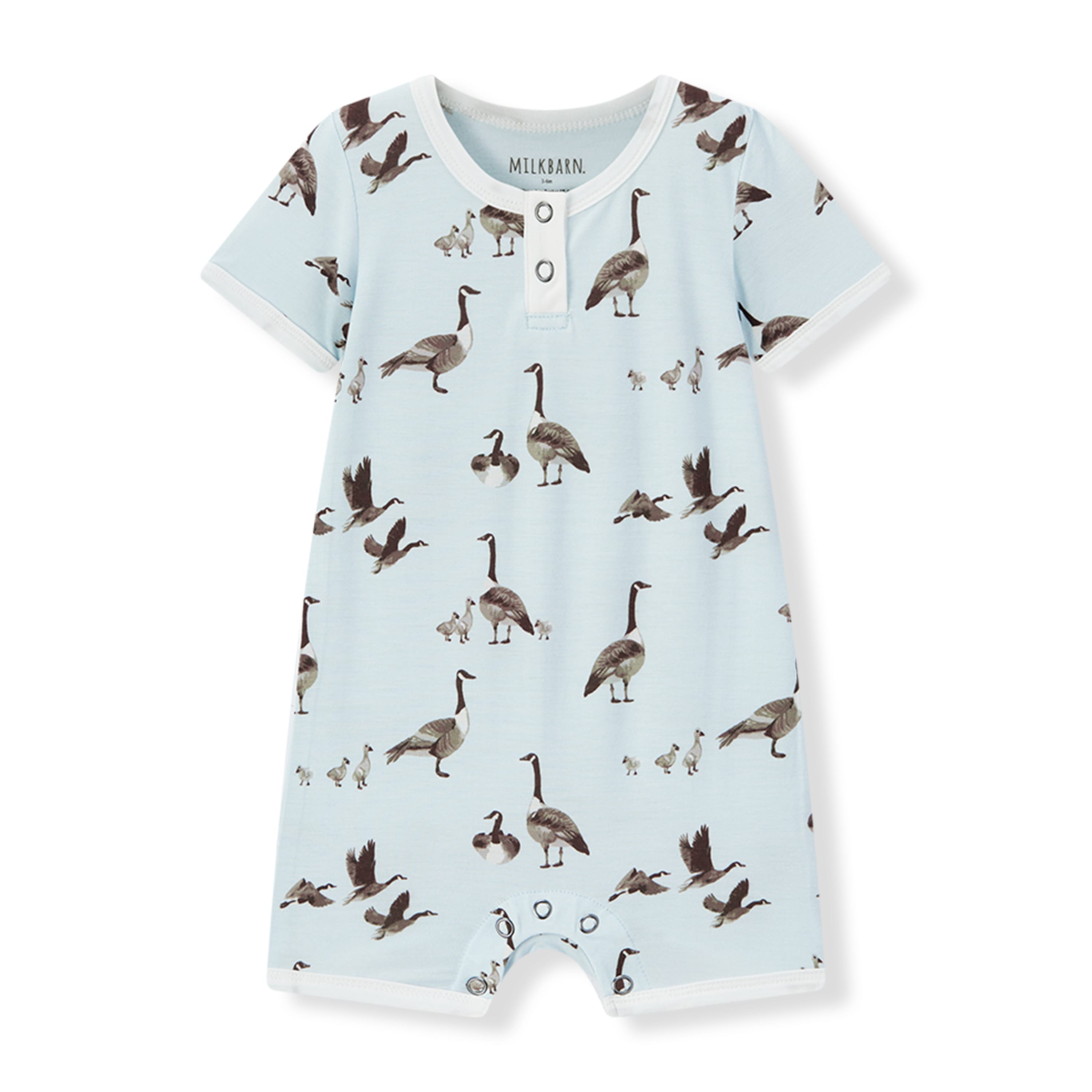 selected Goose