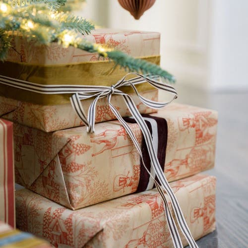 Cg Hunter Ribbon In Multi