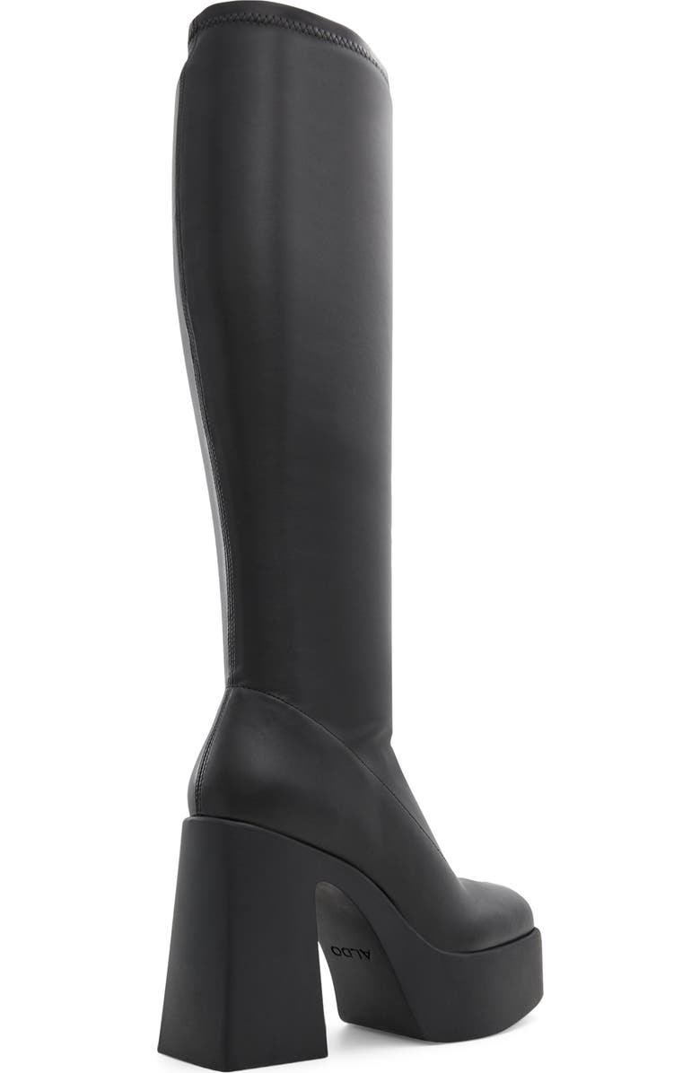 ALDO Moulin Knee High Boot, Alternate, color,