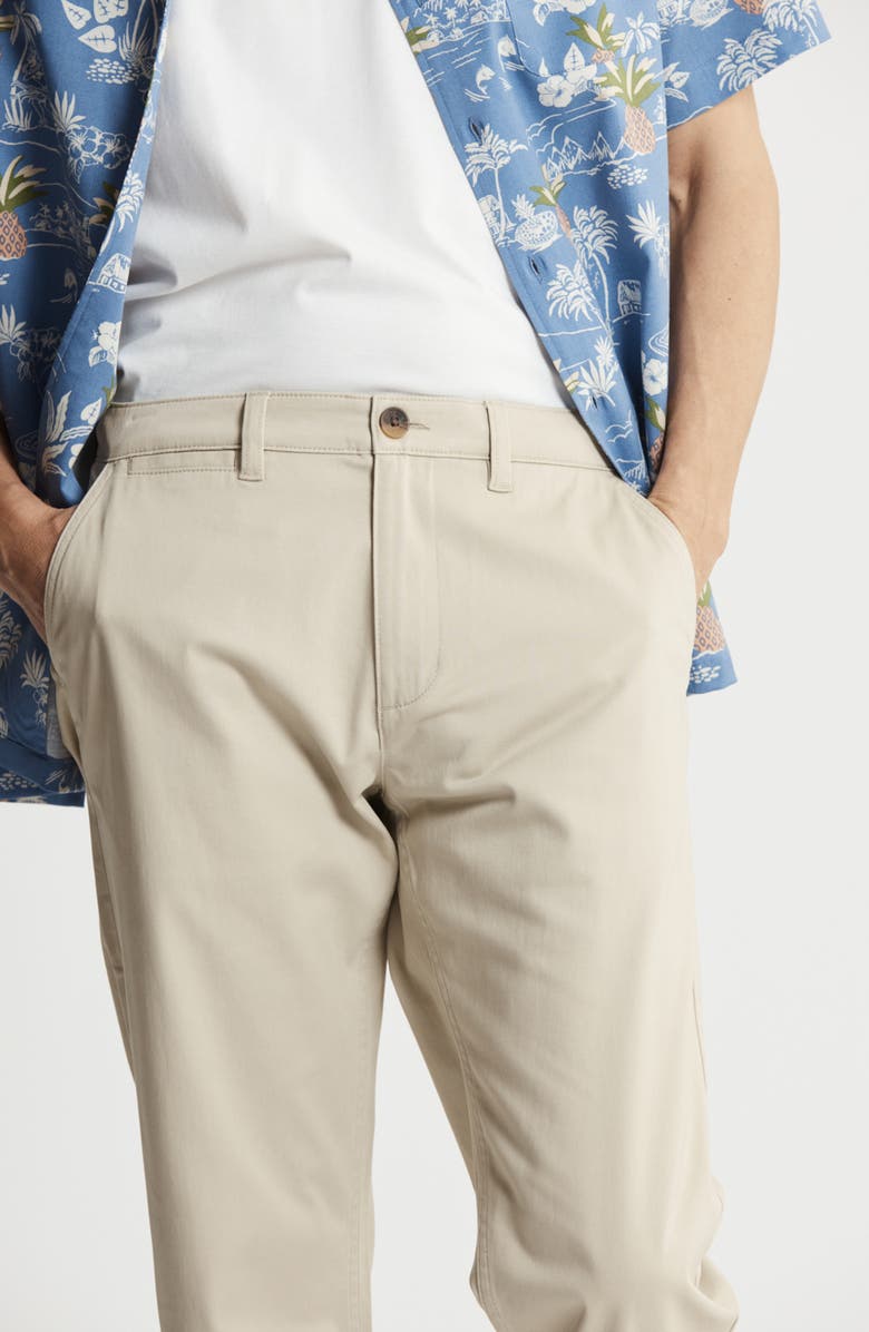 JACHS Classic Straight Leg Pants, Alternate, color, Stone