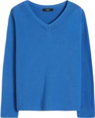 Weekend Max Mara V-Neck Sweater