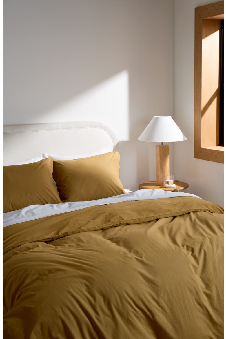 Set of 2 Brushed Cotton Shams (Nordstrom Exclusive), Alternate, color, OCHRE