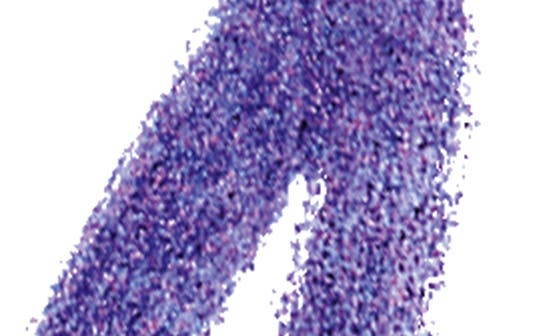selected 10 - VERSATILE PURPLE