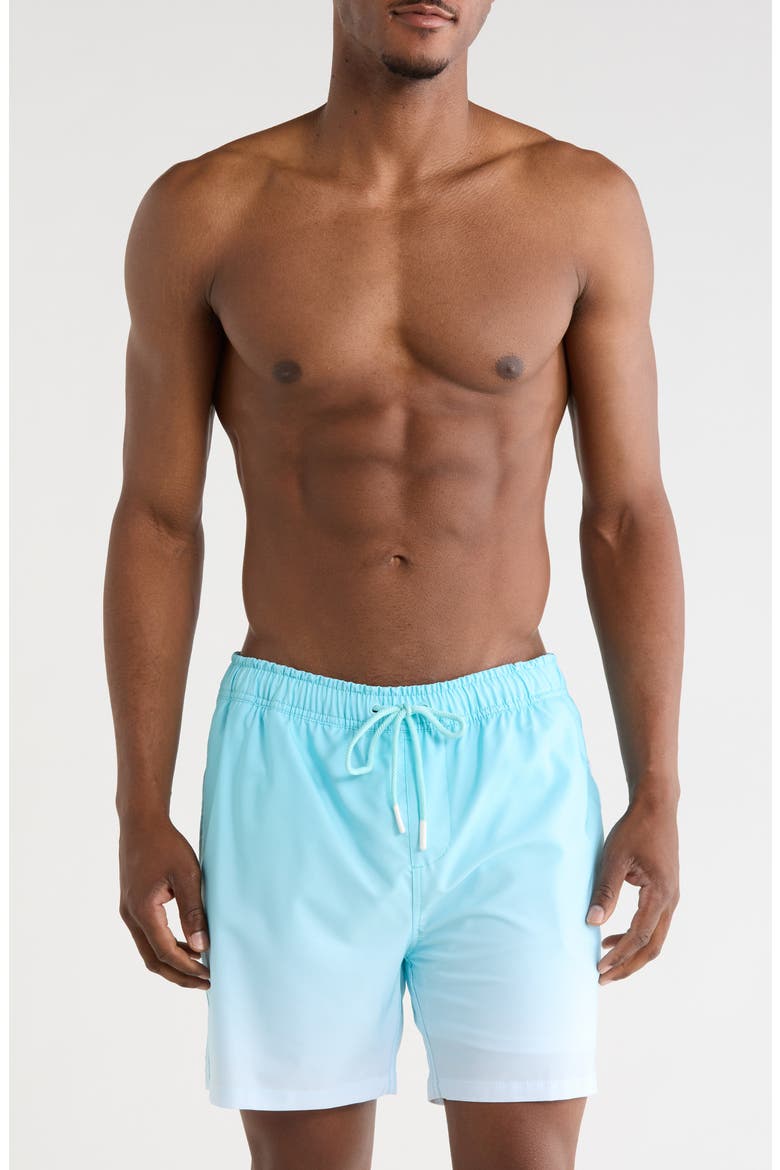 Performance Volley Swim Shorts, Main, color, TEAL