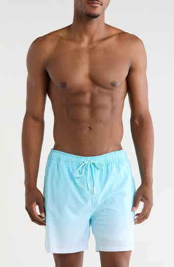 Performance Volley Swim Shorts