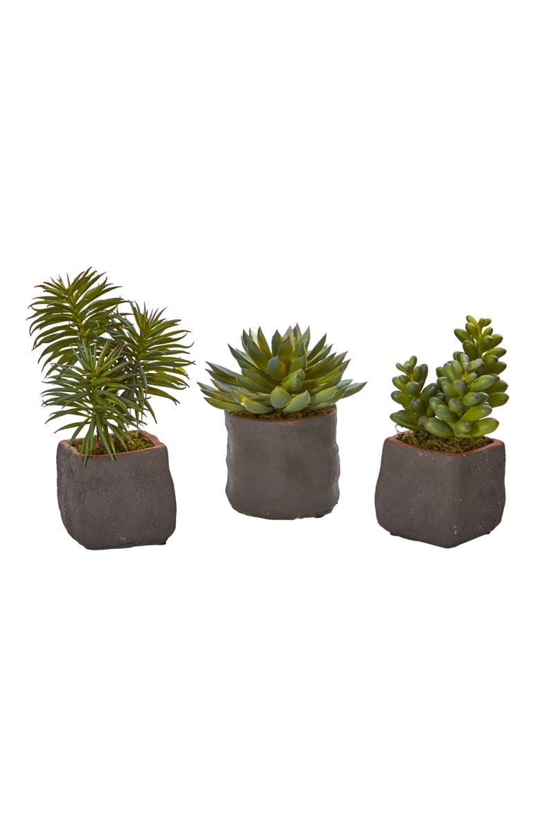 NEARLY NATURAL Mixed Succulent Trio Artificial Plant, Main, color, Green