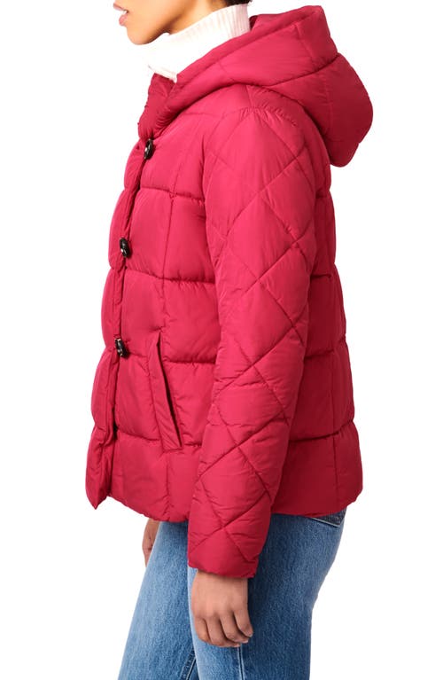 Bernardo Hooded Recycled Puffer Jacket