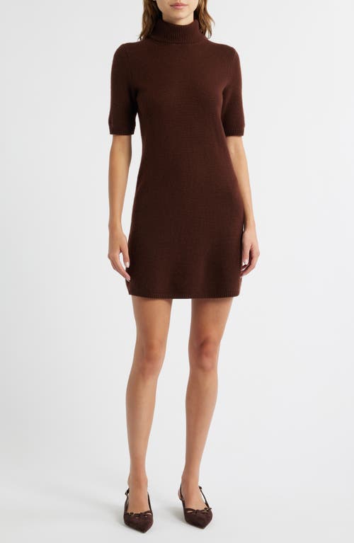Doen Agathe Cashmere Turtleneck Mini Dress In Brown