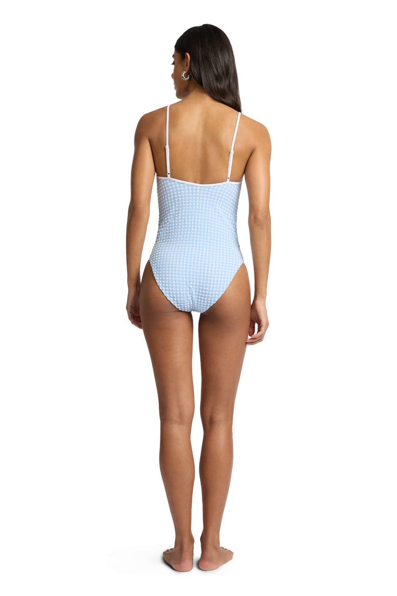 Soleil Tie Front One-Piece, Alternate, color, Sky/White