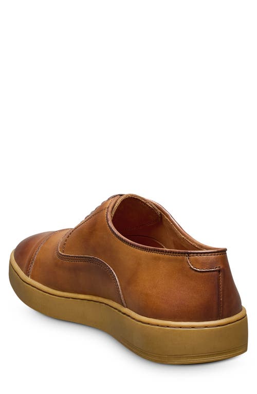Allen Edmonds Park 2.0 Sneaker In Walnut