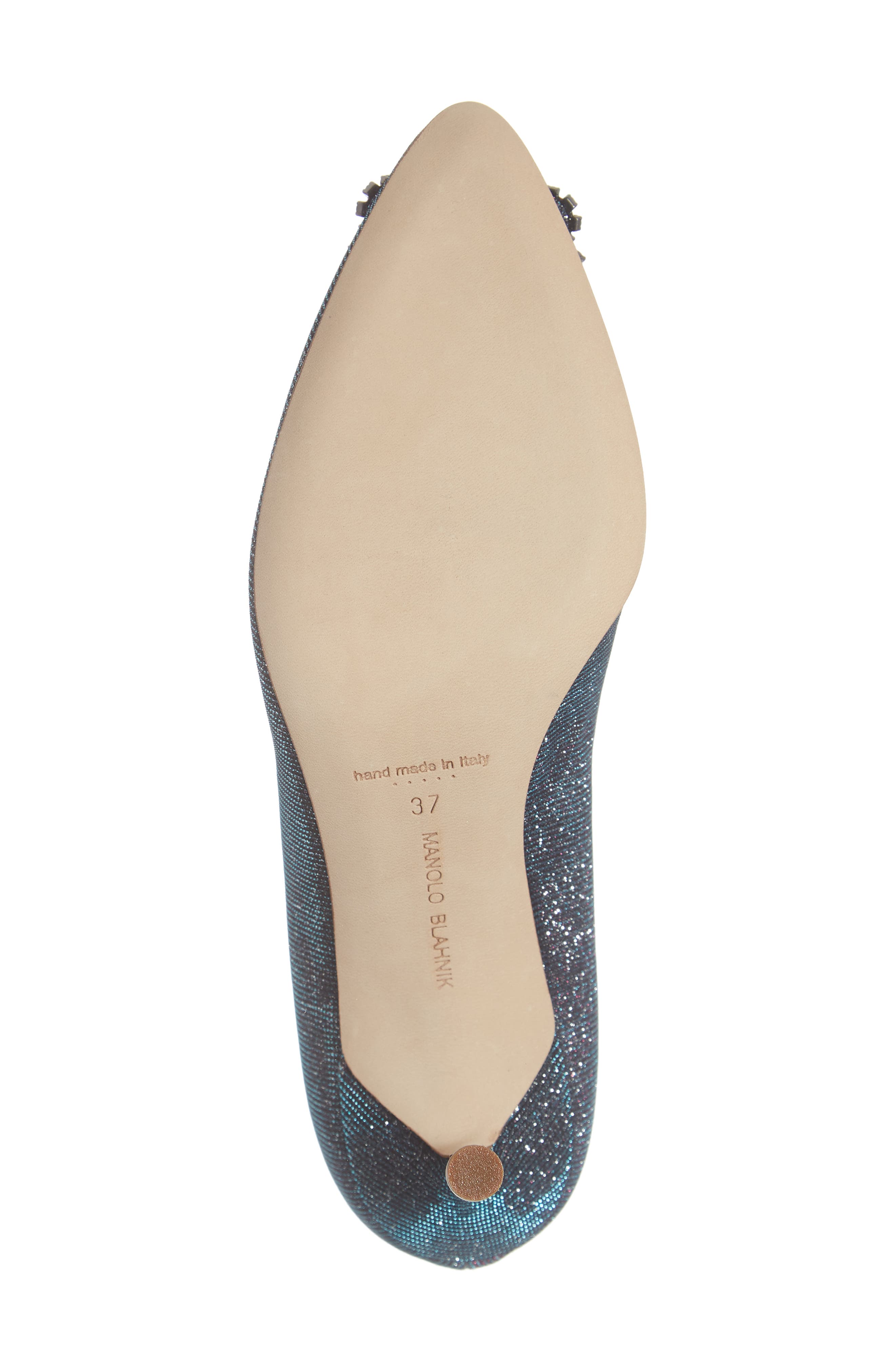 Manolo Blahnik Hangisi Pointed Toe Pump, Alternate, color, 