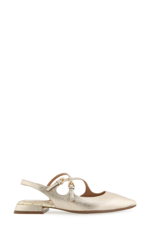 AEROSOLES AEROSOLES NAPOLI POINTED TOE SLINGBACK FLAT 