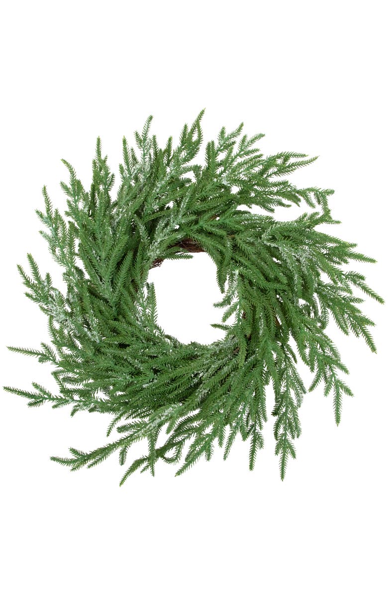 Northlight Frosted Norfolk Pine Artificial Christmas Wreath - 20" - Unlit, Main, color, Green