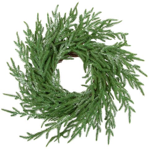 Frosted Norfolk Pine Artificial Christmas Wreath - 20" - Unlit
