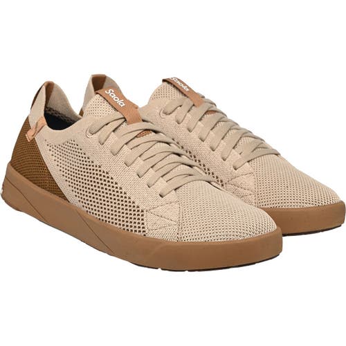 Saola Cannon Knit 2.0 Shoe In Brown