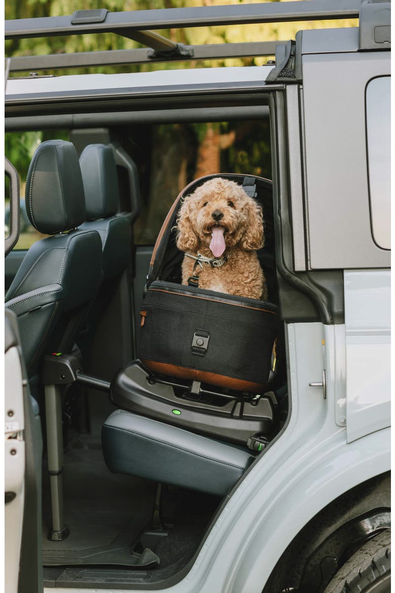 Maeve™ Medium Flex Pet Car Seat, Alternate, color, MERLE