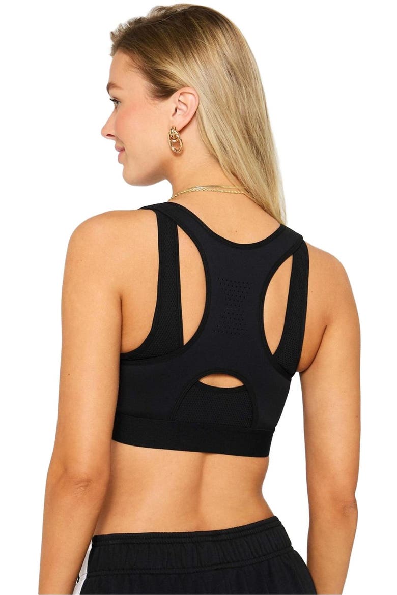 Women's Front Zip High Impact Sports Bra, Alternate, color, Black