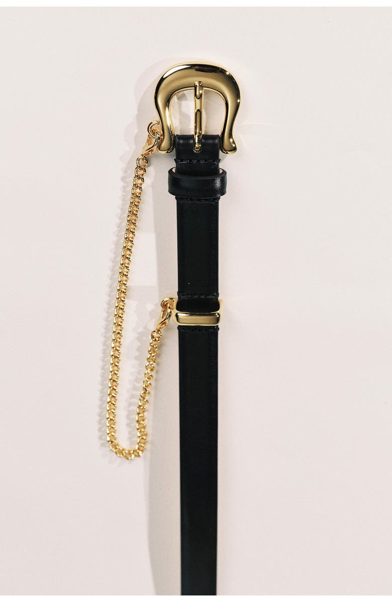 Déhanche Luzia Chain Leather Belt, Alternate, color, Black/ Gold