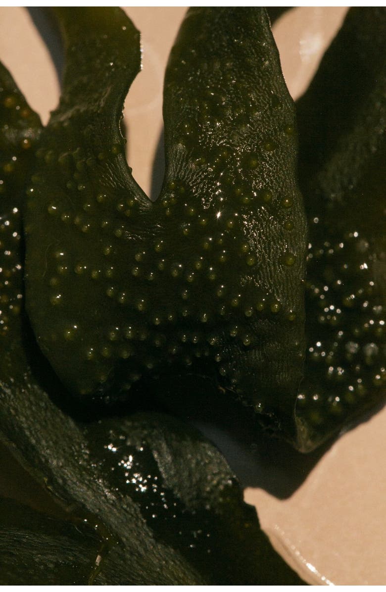 Summer Solace Tallow Sea Change Seaweed Bar Soap, Alternate, color, 