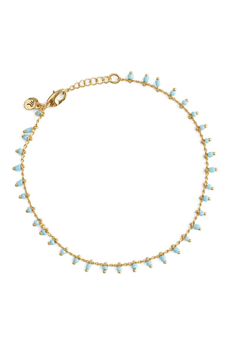 Enamel Chain Anklet, Main, color, TURQUOISE MULTI