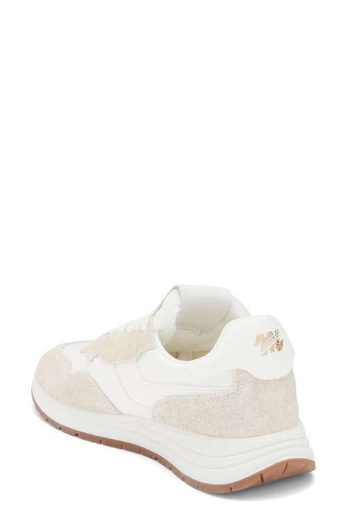 Steve Madden Burst Sneaker In Multi