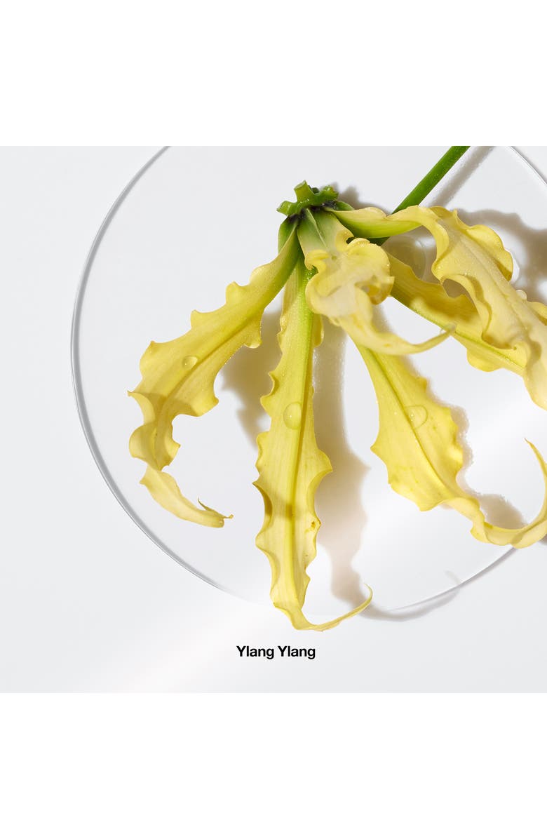 Clinique Aromatics Elixir Perfume Spray, Alternate, color,