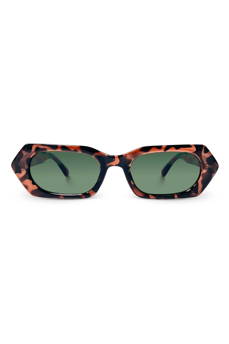 The Starlight Sunglasses, Main, color, Tortoise