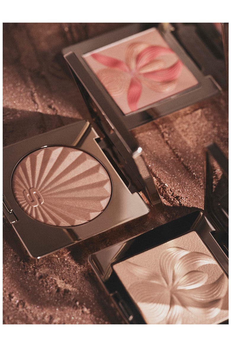 L'Orchidée Highlighter Blush, Alternate, color, 2 ROSE