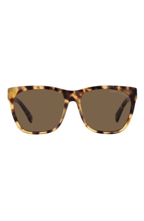 Ralph Lauren 57mm Square Sunglasses in Havana 