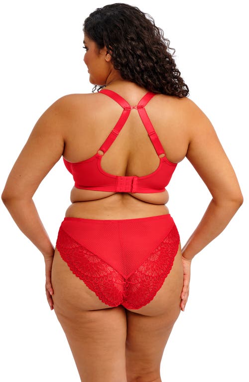 Elomi Tiernie Lace Trim Mesh Briefs In Red