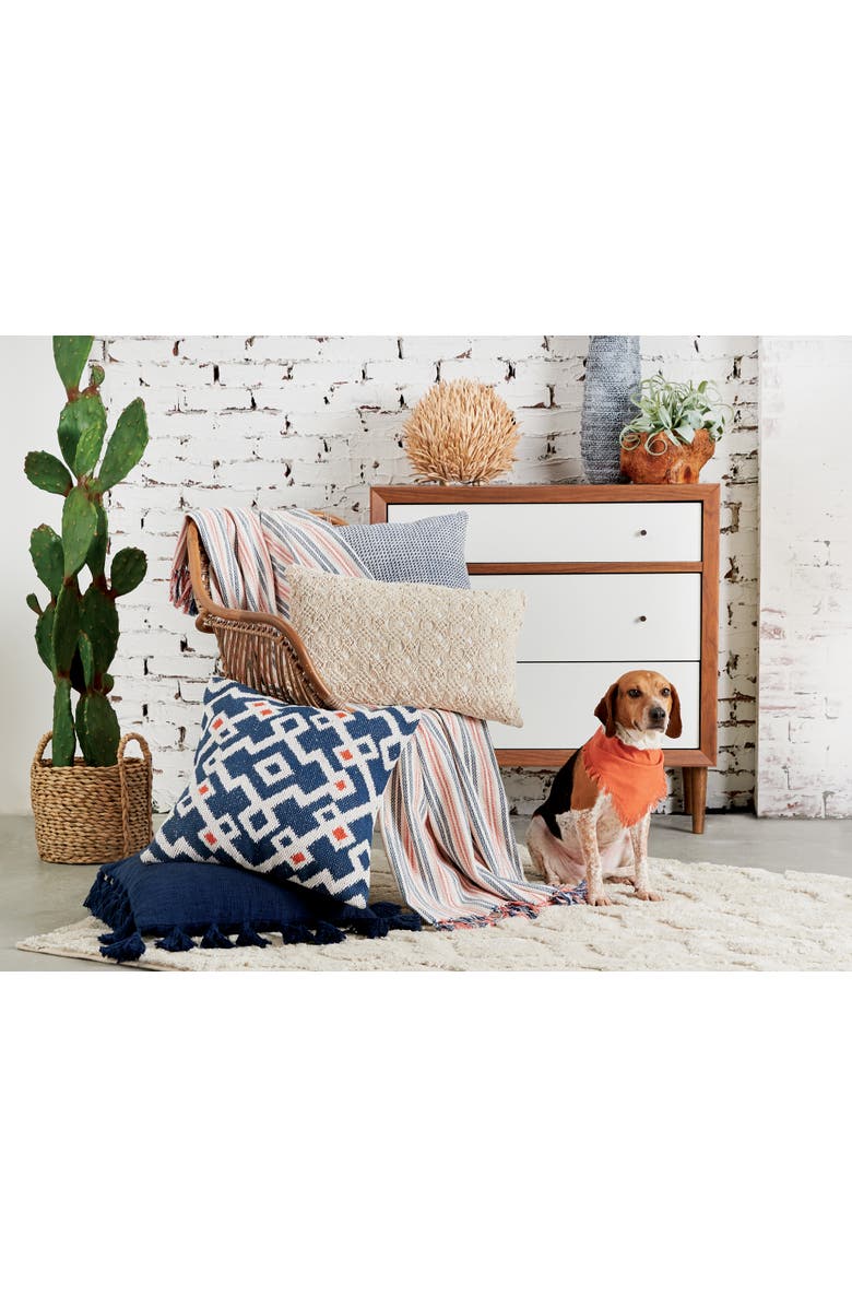 carol & frank Reggie Indigo Blue Hand-Loomed Cotton Decor Throw Pillow, 20" x 20" Cover And Insert Set, Alternate, color, Blue